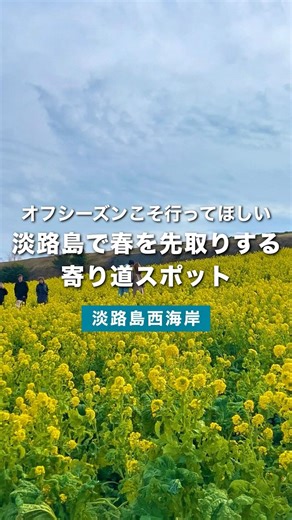 【冬の淡路島観光】淡路花さじきと農家レストラン陽・燦燦で味わう癒しの一日旅行