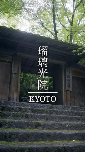 まるで鏡の世界🍃 瑠璃光院のリフレクションが綺麗すぎた