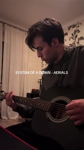 Aerials Guitar Cover - Acoustic Rock Version