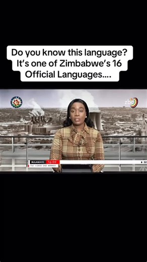 Natartszim on Instagram: "Know your languages: Zimbabwe has 16 official languages and this is called Nambya one of the 16. Video Credit:ZBC"