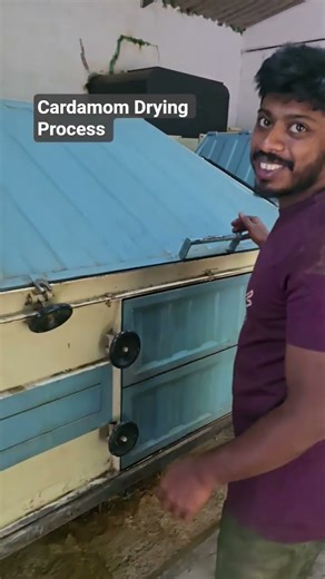 Cardamom Drying Process at Dryer #indiangreencardamom #farming