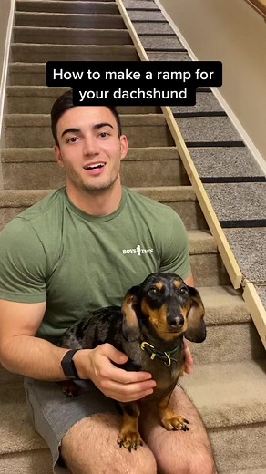 DIY Dog Ramp: How to Build a Safe Ramp for Dachshunds