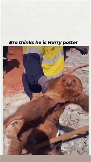 Harry Slother Takes Flight On A Broomstick