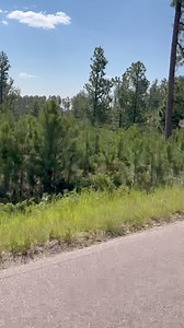 104K views · 2.9K reactions | Roving reporter hitting needles highway. Sturgis! Not all about the party! | Nightmares Ride | Facebook