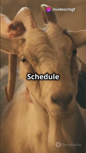 Goat Hoof Trimming Guide: Essential Foot Care Tips for Healthy Goats 🐐 #goat #farming #goatfarming