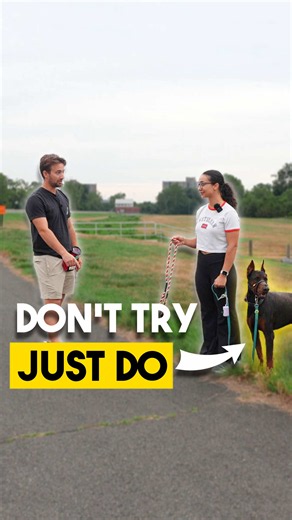 Expert Dog Training Advice for Unwanted Behaviors & Better Bonds
