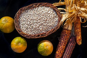 Returning Corn, Beans, and Squash to Native American Farms - JSTOR Daily