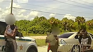 Watch: Traffic stop ends with fatal shootout, Fla. deputy wounded