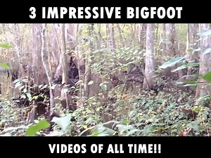 3 IMPRESSIVE BIGFOOT VIDEOS OF ALL TIME | I Believe in Bigfoot