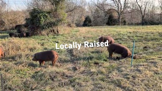 How Our Hog Reservations Work!  We get a lot of questions about...