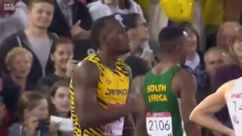 Strategies for Surviving a Bison Encounter