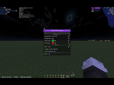 (Beginner) Meteor Client Config setup @2b2t