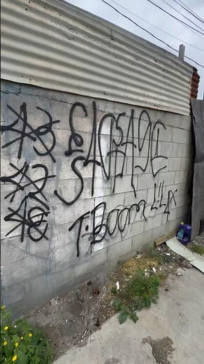 40 Avalon￼ Gangsta Crip #crips