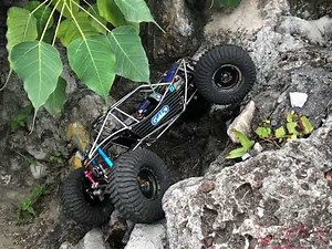 4ws + 4wd + dig transmissions + belting system . RC CRAWLER with pro setup