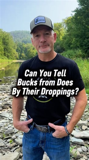 28K views · 2.5K reactions | Can you tell bucks from does by their droppings? Not with any reliability, according to wildlife biologist @kipadams_nda. #deer #whitetails #deerhunting #nationaldeerassociation | National Deer Association | Facebook