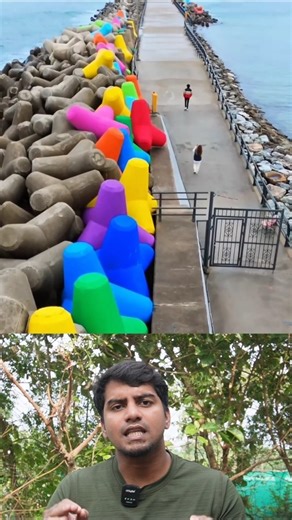 🌊What is a TETRAPOD? // Sri info (Tamil)