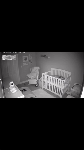 177K views · 5.2K reactions | When the ground started shaking, this loyal dog ran straight to the crib to protect the baby. 梁  #DogHero #EarthquakeRescue #protectivedog #Reallifehero #babyrescue #animalinstinct | PawfulLove | Facebook