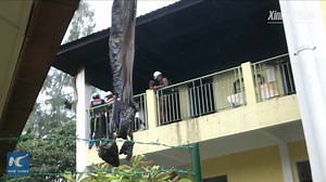 16K views · 369 reactions | At least 23 people have died in a fire that broke out in the sleeping quarters of a religious boarding school in Kuala Lumpur. Fire officials suspect the blaze was caused by an electrical short circuit, or a mosquito repelling device. | China Xinhua News | Facebook