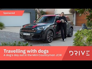 A Dog's Day Out! - Tips For Travelling With Your Dog In The Mini Countryman JCW | Drive.com.au