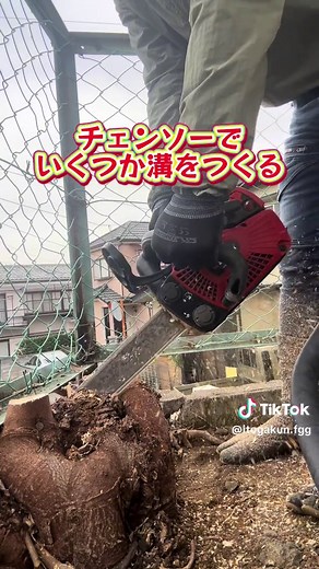 富士見グリーンガーデン: 植木屋さんの笑顔咲くお庭づくり