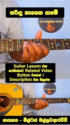 Tharidu Nagena Guitar Cover 🎸 | Milton Mallawarachchi | Beginner Lesson #shorts