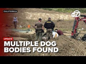Humboldt County deputies recover multiple dog bodies in Miranda’s Rescue search