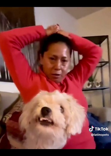 Funny Video Compilation: Dogs and Cats Enjoying Tamales 🤣