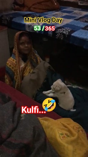 Aaj Raat Kulfi Ne Kisi Ko Sone Nahi Di! 😂🐶 #minivlog #shorts #doglover #dog #animals #pets
