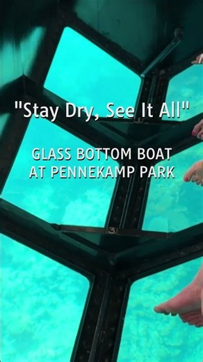 Inside John Pennekamp Coral Reef State Park, Stay Dry, See It All