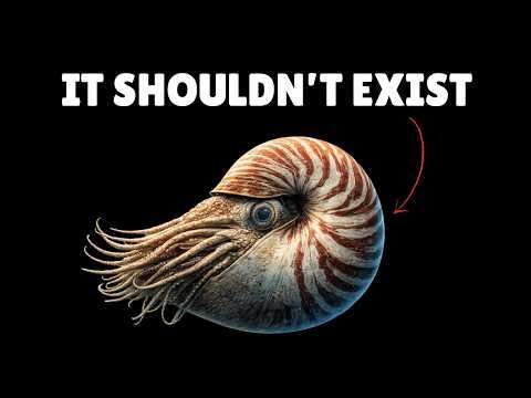 This Ancient Creature Survived 5 Mass Extinctions – Here’s Why