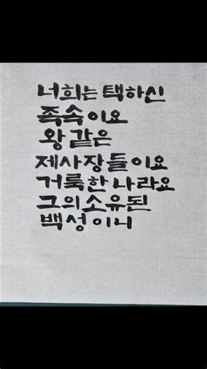 말씀캘리그라피 베드로전서2장9절 너희는 택하신 족속이요 왕같은 제사장들이요 거룩한 나라요 그의소유된백성이니 #통영아지매