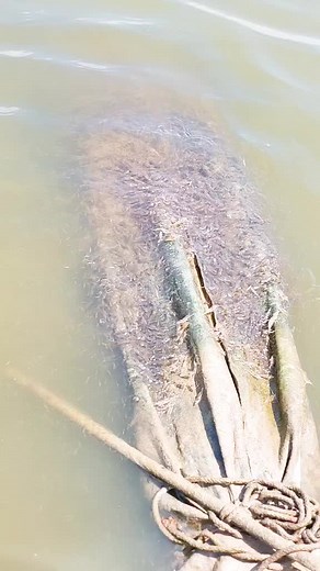 Exploring Submerged Objects in Murky Waters