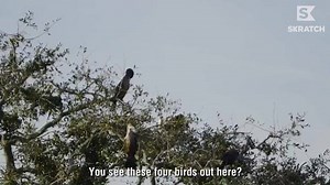 24K views · 64 reactions | Classic stitch up on the famous hole 17 at TPC Sawgrass!   - Skratch | Golf Gods | Facebook