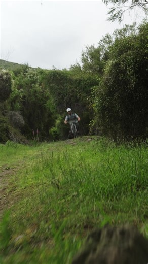 Das Shuttle LT, mit verstellbarem Sitzwinkel. | Pivot Cycles