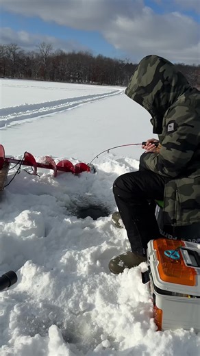 Ultimate Ice Fishing Tips for Beginners