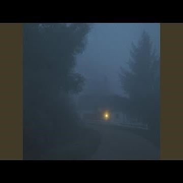 what could have been