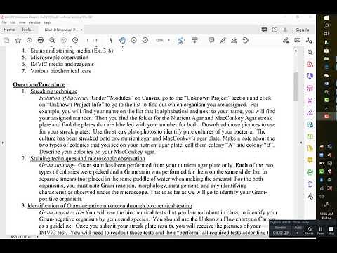 Unknown Project Instructions
