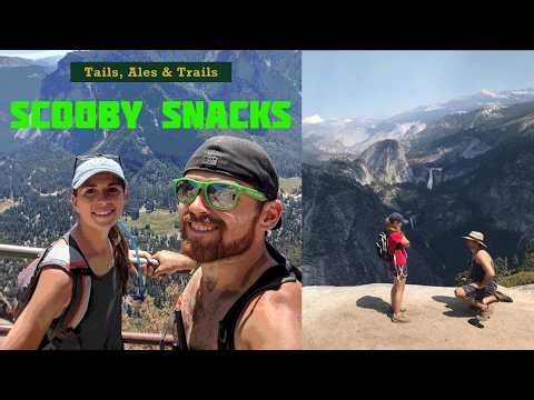 Don't Call It a Comeback | Introducing Scooby Snacks