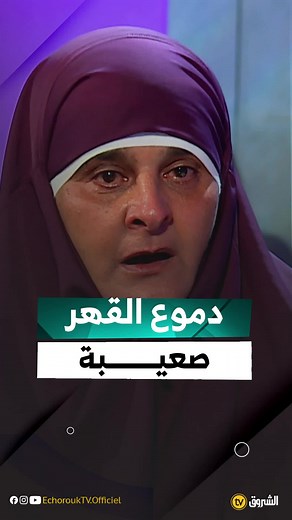 شروق تيفي مباشر - بث مباشر