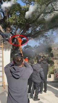 WARGA PANIK POHON TUA DI DESA INI TIBA TIBA MENGELUARKAN ASAP PUTIH #shorts #short #shortsviral