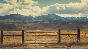 Does a Farm Need a Different Homeowners Insurance Policy?