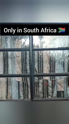 #memes😂 #trending #trend #memestiktok #laugh #laugh #memes #funny #meme #lol #lol