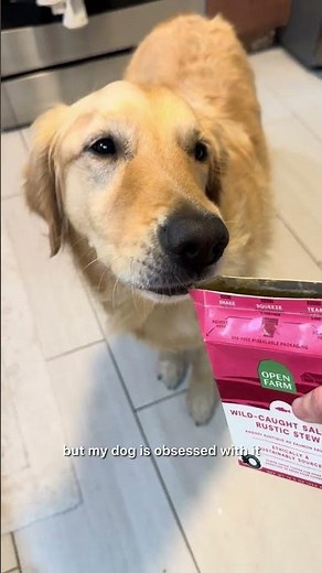 A safe way to entertain your dog #dogenrichment #dogtips