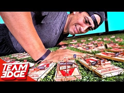 Mouse TRAP Crawl Challenge!!
