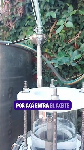 Distillation of Eucalyptus globulus Essential Oil and Hydrosol. www.aceitesesenciasdelbosque.com