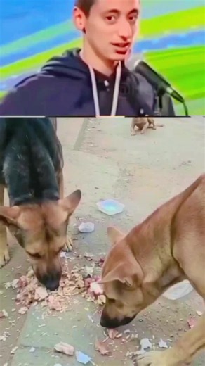 POV Cowok Ganteng: Kompilasi Lucu dan Reaksi Kocak