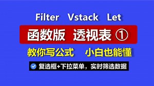 【小白，进阶吧！】解锁【函数版 透视表➊】FILTER VSTACK LET 复选框 下拉菜单，实时交互，动态筛选神器！WPS/Excel职场必备！免费教程。