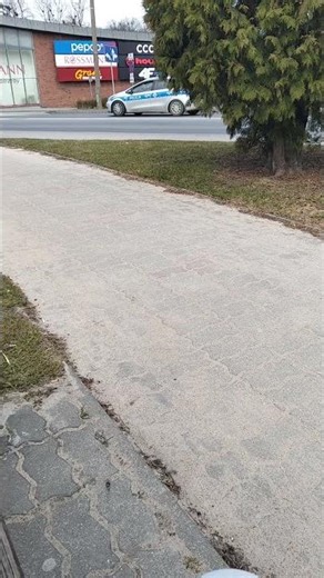 nie alarmowo kia cee'd sw2 KPP Rypin (nagranie z 25 marca 2026)