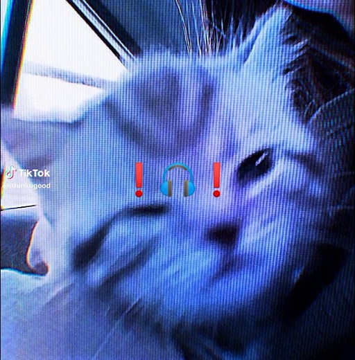 Whimpering Men Audio Sound System