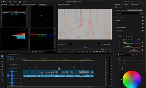33K views · 419 reactions | Perfect skin tones = professional-looking videos ✨ In this Adobe Premiere Pro tutorial, learn how to correct skin tones naturally without overdoing colors. Save this for your next edit! #AdobePremierePro #SkinToneCorrection #ColorCorrection #ColorGrading #PremiereProTutorial #VideoEditingTips #WeddingVideoEditing #FilmmakerLife #EditorsOfInstagram #CinematicLook #NaturalSkinTones #VideoCreators #EditingWorkflow | Wedding Cinematography By Naim Mulla | Facebook